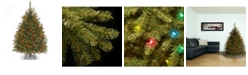 National Tree Company National Tree 4.5' Dunhill Fir Tree with 450 Multicolor Lights